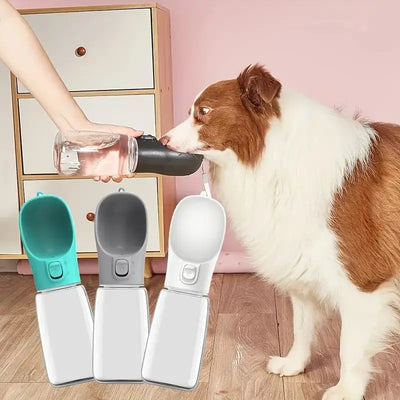 Leak-Proof Portable Dog Water Dispenser for Walking and Travel