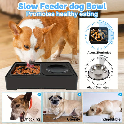 Pets Bowls Dog Double Bowls Stainless Stand Adjustable Height Pet Feeding Dish Bowl Big Dog Elevated Food Water Feeders for Dogs