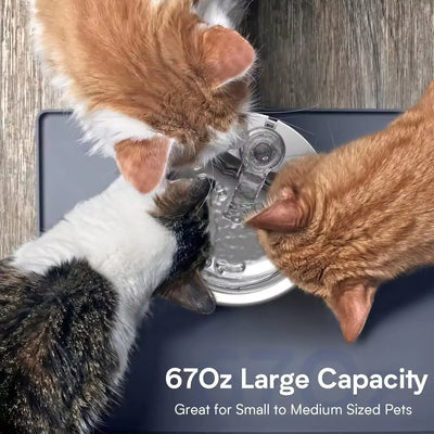 304 Stainless Steel Best Detachable Design Encouraging Hydration Pet Water Dispenser With Sensor Cat Dog Water Dispenser